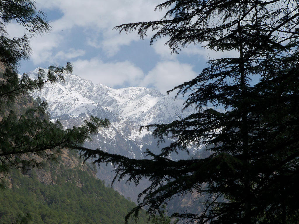 Parvati Kuteer Riverside Resort Kasol Bagian luar foto