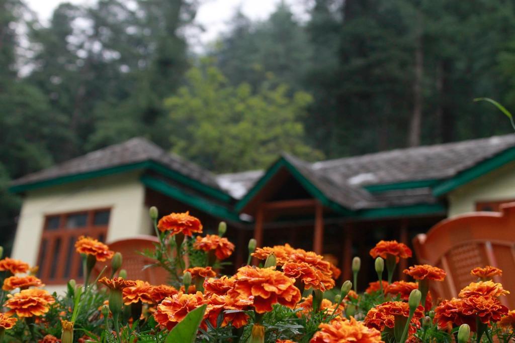 Parvati Kuteer Riverside Resort Kasol Bagian luar foto