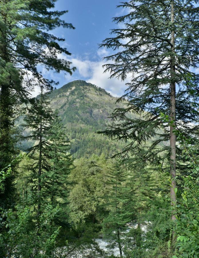 Parvati Kuteer Riverside Resort Kasol Bagian luar foto